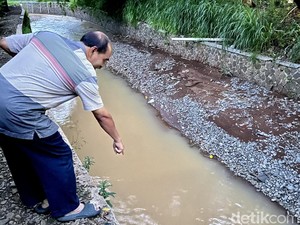 Viral Video Peternakan Sapi di Bandung Diduga Cemari Lingkungan