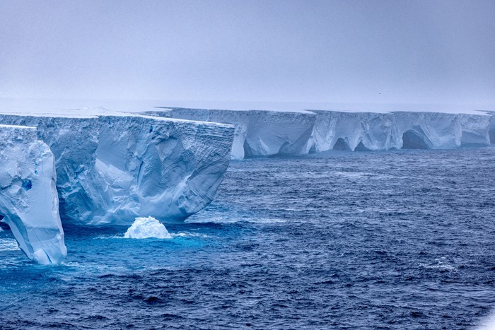 The worlds largest iceberg, named A23a, is seen in Antarctica, January 14, 2024, in this picture obtained from social media.  Rob Suisted - http://naturespic.com/via REUTERS  THIS IMAGE HAS BEEN SUPPLIED BY A THIRD PARTY. MANDATORY CREDIT.