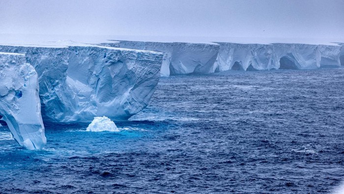 The worlds largest iceberg, named A23a, is seen in Antarctica, January 14, 2024, in this picture obtained from social media.  Rob Suisted - http://naturespic.com/via REUTERS  THIS IMAGE HAS BEEN SUPPLIED BY A THIRD PARTY. MANDATORY CREDIT.