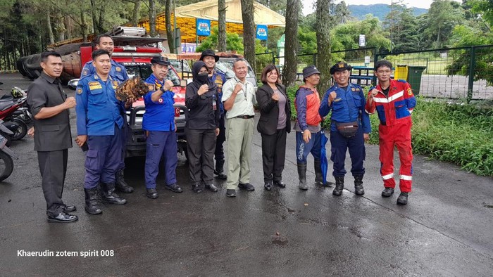 Petugas Damkar mengevakuasi 12 sarang tawon usai bocah tewas disengat.