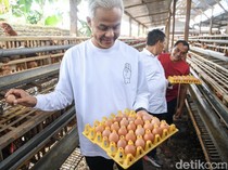 Ganjar Kunjungi Peternak Ayam di Magetan