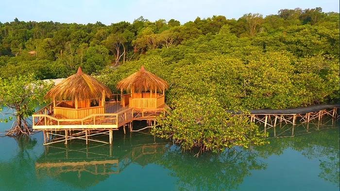 Hutan Mangrove Kerpi Coral Resort Batam (Foto: kepricoral.com)