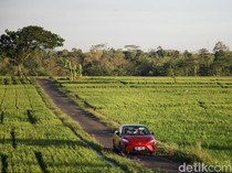 Road Trip 1.400 km Pakai Mobil Listrik MG 4 EV, Seberapa Irit?