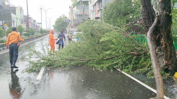 Pohon tumbang dan tanah longsor di Cilegon