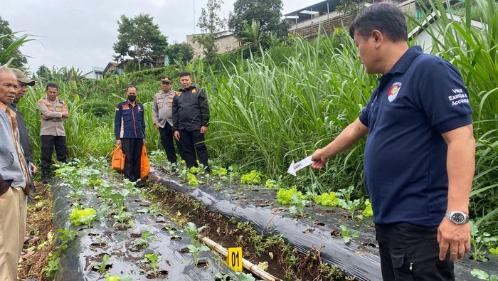 Tim Inafis Satreskrim Polres Cimahi Olah TKP di Lokasi Penemuan Jasad Pria di Kebun Warga Lembang, Jumat (19/1/2024).
