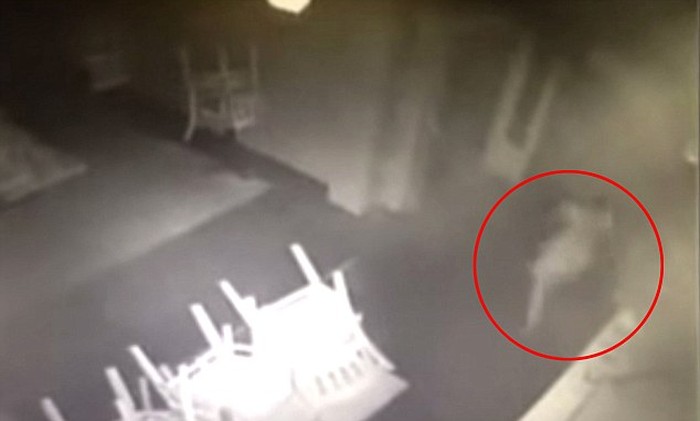 10 Foto Penampakan Mahkluk Halus yang Kerap Ganggu Pengunjung Restoran 10 Foto Penampakan Mahkluk Halus yang Kerap Ganggu Pengunjung Restoran