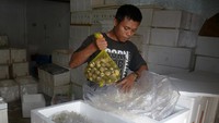 Sementara, permintaan pasar luar negeri meningkat hingga mencapai 1 ton hingga 3 ton per hari.