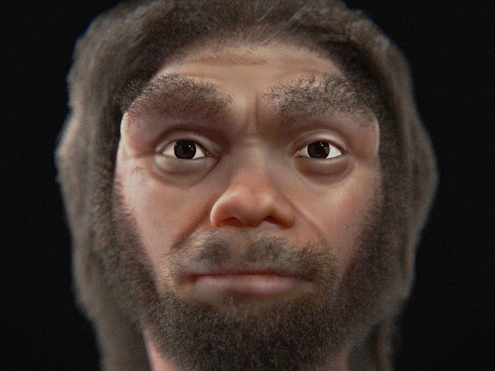 Hasil rekonstruksi wajah Homo longi atau laki-laki naga.
