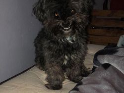 Hii! Biasa lucu Menggemaskan, Tapi Hewan Ini Bikin Merinding