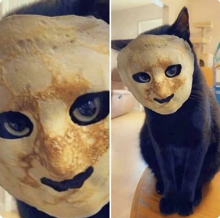 Hii! Biasa lucu Menggemaskan, Tapi Hewan Ini Bikin Begidik