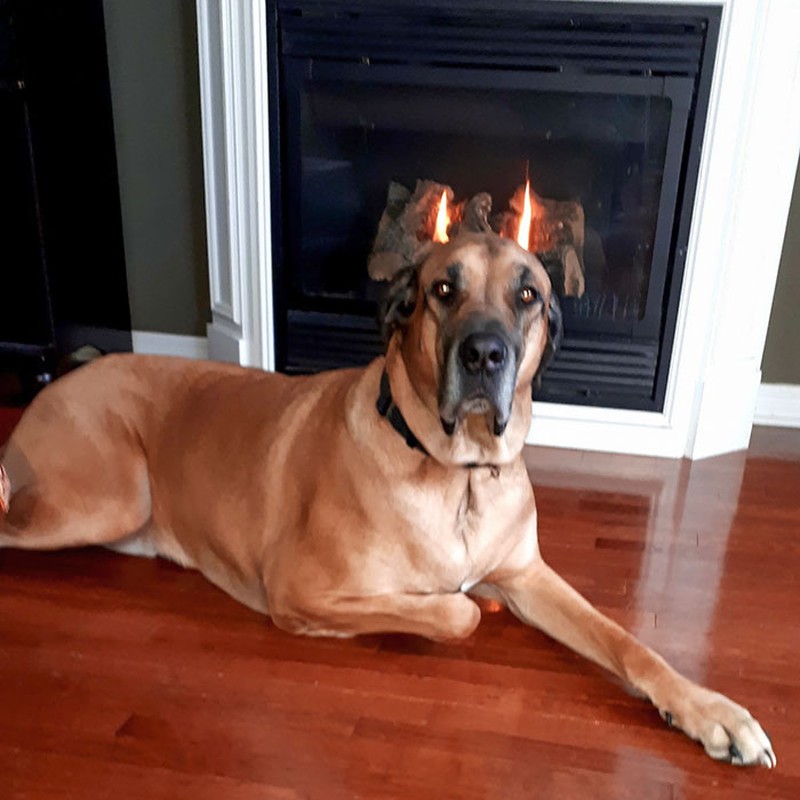 Hii! Biasa lucu Menggemaskan, Tapi Hewan Ini Bikin Begidik