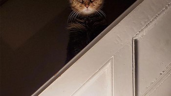 Yang melihat bisa kena serangan jantung nih. Foto: Boredpanda