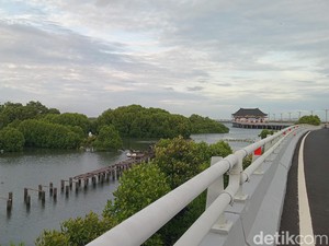 Peneliti BRIN Wanti-wanti Pembangunan di Teluk Benoa Berpotensi Rusak Mangrove