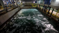 Pengisian kolam renang yang kosong akan dilarang, termasuk untuk fasilitas pariwisata. Untuk kolam renang luar ruangan, klub diwajibkan menutup semua pancurannya. Kamar mandi pantai juga akan ditutup. Mereka yang melanggar pembatasan akan didenda hingga 3.000 euro di wilayah Barcelona.