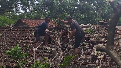 Pohon tumbang menimpa rumah di Klungkung, Bali.