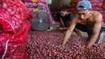 Harga Bawang Merah Turun di Medan