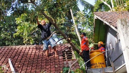 Personel BPBD Kabupaten Karangasem saat melakukan penanganan pohon tumbang, Minggu (21/1/2024). (dok. BPBD Karangasem)