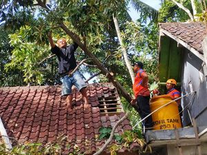 36 Bencana Landa Karangasem di Awal Tahun, Masyarakat Diimbau Waspada