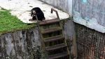 Kondisi Medan Zoo yang Memprihatinkan hingga Ditutup Sementara