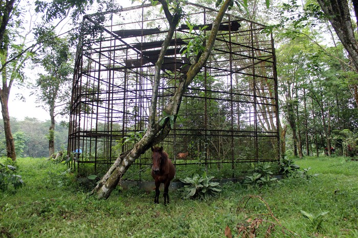 Wali Kota Medan Bobby Nasution akan menutup Medan Zoo yang belakangan ini kondisinya memprihatinkan. Medan Zoo ditutup karena akan dilakukan pembangunan.