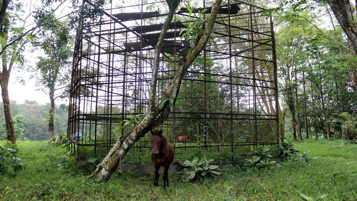 Kondisi Medan Zoo yang Memprihatinkan hingga Ditutup Sementara Wali Kota Medan Bobby Nasution akan menutup Medan Zoo yang belakangan ini kondisinya memprihatinkan. Medan Zoo ditutup karena akan dilakukan pembangunan.