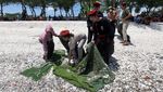 Aksi Mahasiswa PMKRI Bersih-bersih Pantai Kenjeran
