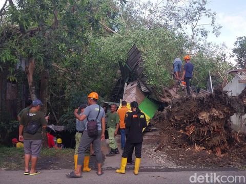 Pohon beringin besar tumbang menimpa bengkel las saat hujan disertai angin kencang di Kelurahan Berkoh, Kecamatan Purwokerto Selatan, Kabupaten Banyumas, Minggu (21/1/2024) siang.