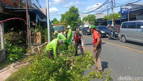 Polisi dan petugas kebersihan membersihkan pohon tumbang di Gianyar, Bali.