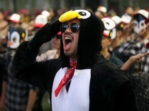 Ada Penguin di Debat Cawapres Keempat