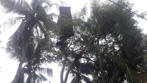 Atap rumah warga Desa Ile Padung tersangkut di pohon setelah angin puting beliung, Senin (22/1/2024).