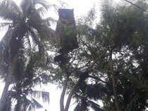 19 Rumah-1 Puskesmas di Flores Timur Rusak Diterjang Angin Puting Beliung