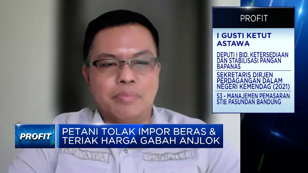 Deputi Bidang Ketersediaan dan Stabiliasi Pangan Bapanas, I Gusti Ketut Astawa (Tangkapan layar CNBC Indonesia TV)