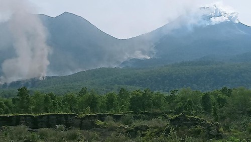 Erupsi Gunung Lewotobi Laki-laki merusak hutan di sekitar gunung api di Flores Timur itu, Minggu (21/1/2024),