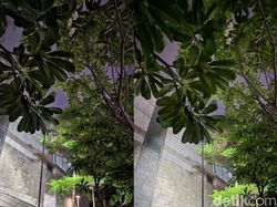 Foto Perbandingan Hasil Kamera Galaxy S24 Ultra vs S23 Ultra, Suka Mana?