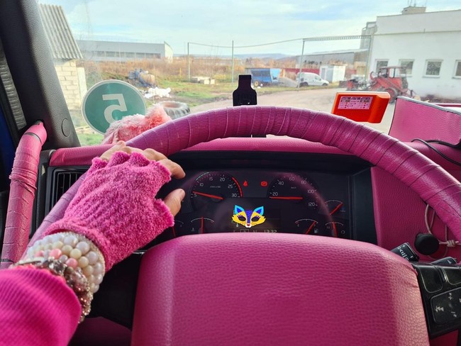 Wanita itu belakangan viral setelah mendokumentasikan kesehariannya di TikTok. Banyak orang terkagum dengan isi truknya, termasuk dua kucing yang menemaninya selama perjalanan. Foto: Instagram Georgeta