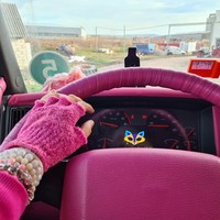 Wanita itu belakangan viral setelah mendokumentasikan kesehariannya di TikTok. Banyak orang terkagum dengan isi truknya, termasuk dua kucing yang menemaninya selama perjalanan. Foto: Instagram Georgeta