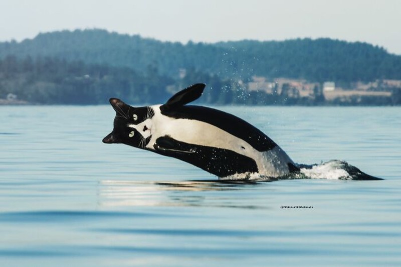 Hewan Editan Photoshop