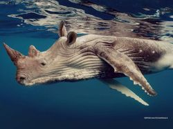 Deretan Hewan Hasil Editan Photoshop, Ngeri, Gemes hingga Bikin Ngakak