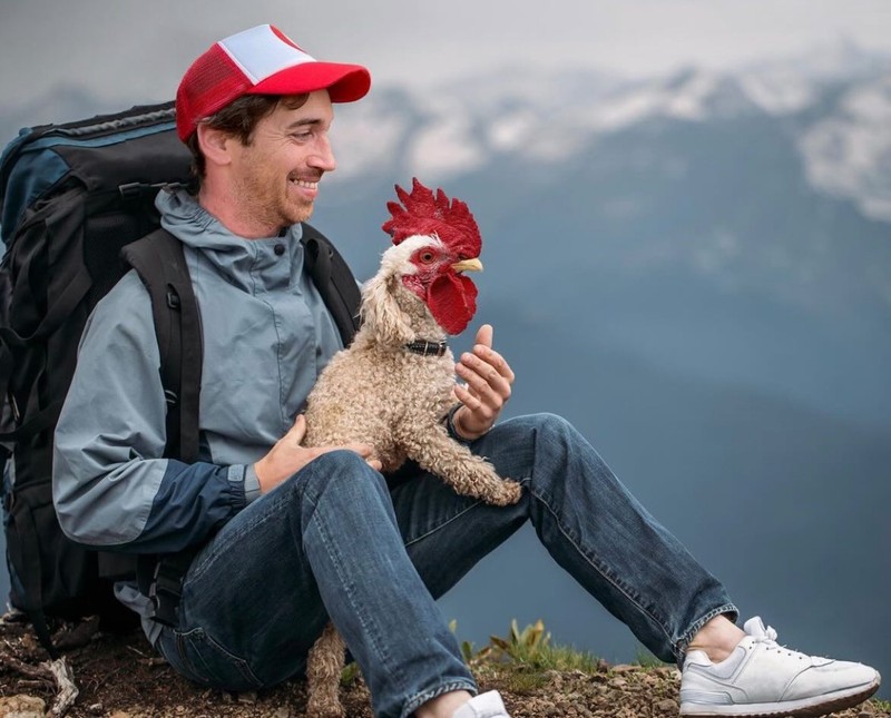 Hewan Editan Photoshop