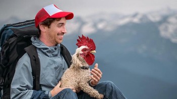 Ketika aning poodle berkepala ayam jago. Foto: Martin Bullock via Boredpanda