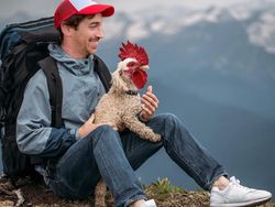 Deretan Hewan Hasil Editan Photoshop, Ngeri, Gemes hingga Bikin Ngakak