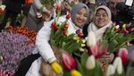 Indahnya Warna-warni Bunga Tulip Bermekaran di Amsterdam