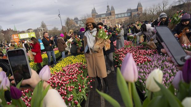 A woman takes a selfie as thousands of people picked free tulips on national tulip day which marked the opening of the 2024 tulip season on Museum Square in Amsterdam, Netherlands, Saturday, Jan. 20, 2024. (AP Photo/Peter Dejong)