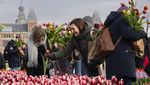 Indahnya Warna-warni Bunga Tulip Bermekaran di Amsterdam