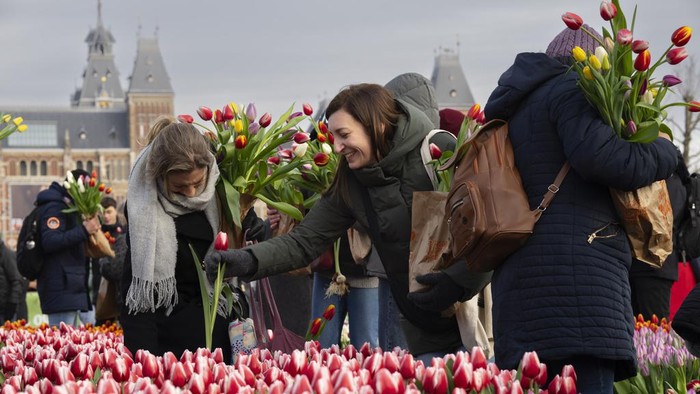 Indahnya Warna-warni Bunga Tulip Bermekaran di Amsterdam A woman takes a selfie as thousands of people picked free tulips on national tulip day which marked the opening of the 2024 tulip season on Museum Square in Amsterdam, Netherlands, Saturday, Jan. 20, 2024. (AP Photo/Peter Dejong)