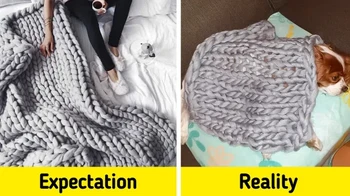 Apa yang kami pesan vs apa yang kami dapatkan (feat anjing saya). Foto: Brightside