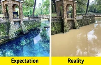 Menyedihkan! Ketika Realita Jauh dari Harapan