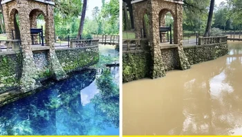 Saya berkendara selama 4 jam untuk melihat Radium Springs, salah satu Keajaiban Alam di negara bagian Georgia... setelah hujan deras, Foto: Brightside