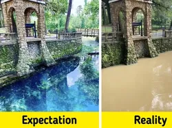 Bikin Kecele! Ketika Realita Jauh dari Harapan