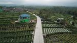 Momen Jokowi-Basuki Jongkok Bareng Cek Jalan Beton